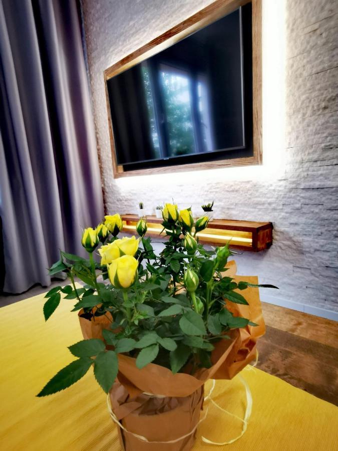 Apartament Przy Arsenale Wrocław Exteriör bild